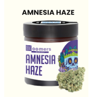 Amnesia Haze Bloomers