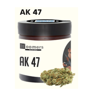 Ak 47 Bloomers