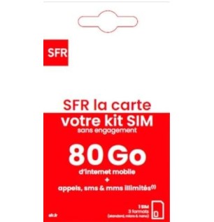 Carte Sim SFR 80 GO